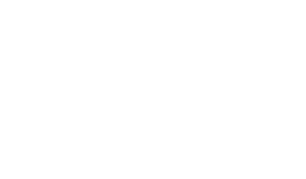 The Rolling Stones